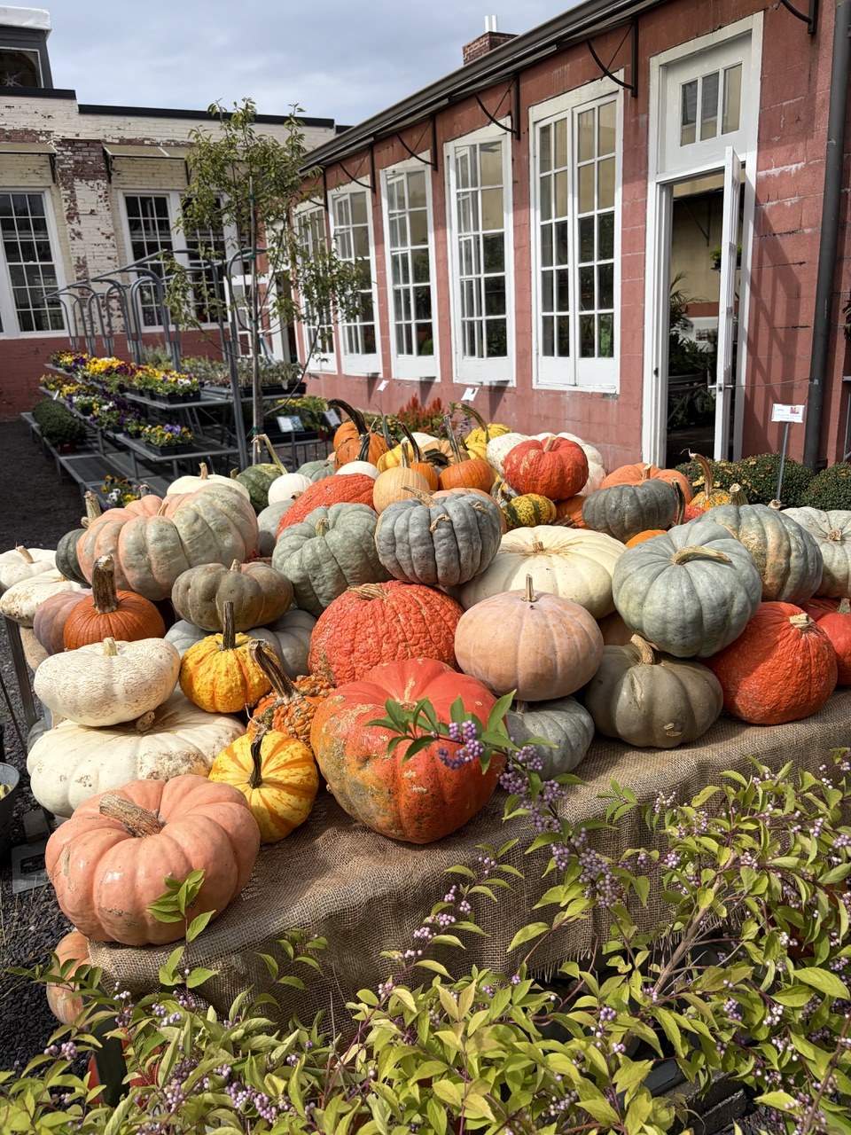 Brunch in a greenhouse featured fall favorites.